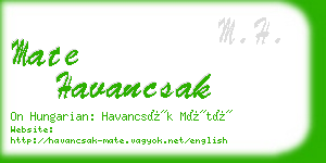 mate havancsak business card